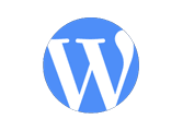 wordpress_img